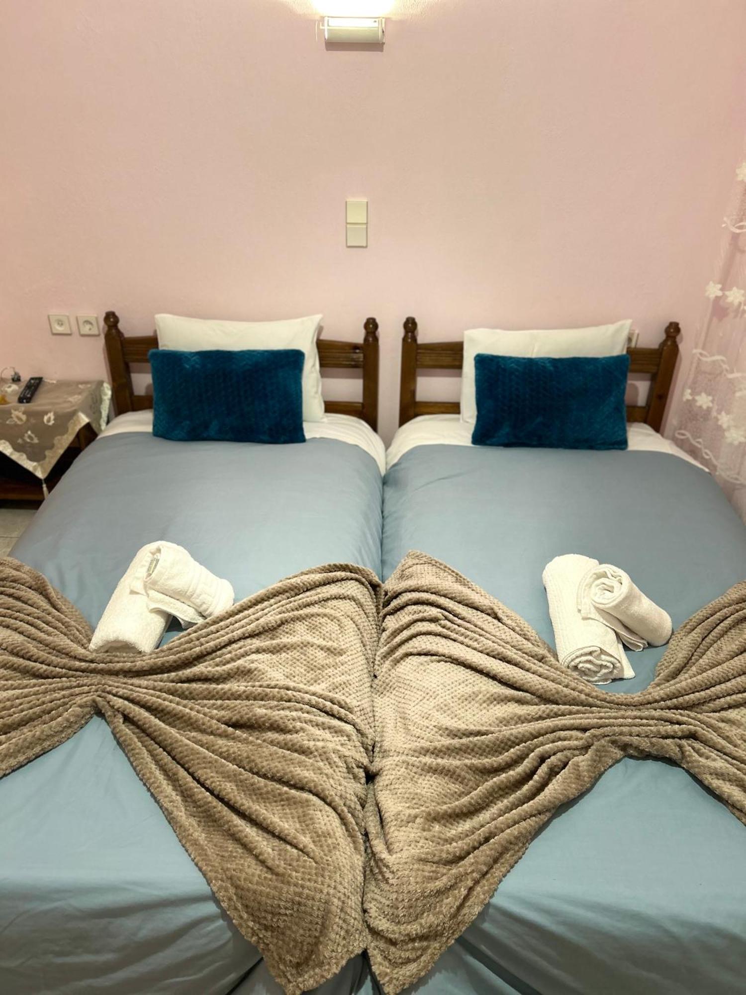 Karpouzis Guesthouse فيكوس المظهر الخارجي الصورة